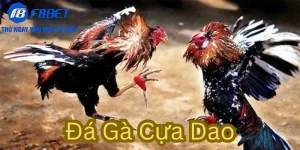 Đá gà Cựa dao là gì?