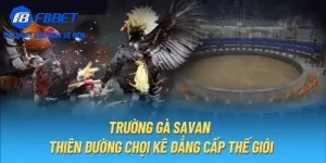 Giới thiệu về Trường gà Savan F8BET